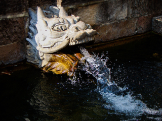 云南瀘沽湖八月份旅游_報團去云南瀘沽湖多少錢_云南瀘沽湖游跟團