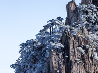 黃山游跟團(tuán)多少錢2021_黃山報(bào)團(tuán)多少錢_黃山旅游需要多少錢