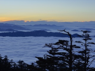都江堰旅游多少錢一個人_都江堰自由行費(fèi)用_2021年都江堰旅游團(tuán)報價