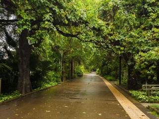 廣西巴馬最佳旅游路線_廣西巴馬旅游要多少錢2021_特價廣西巴馬游