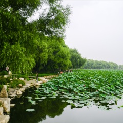活动模块 