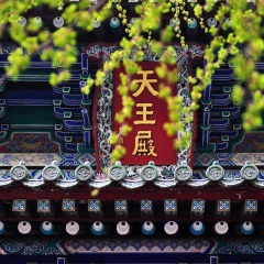 景点模块 