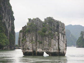 南宁-越南-下龙湾旅游哪家好_南宁-越南-下龙湾旅游花费一般多少_南宁-越南-下龙湾自由行还是跟团好