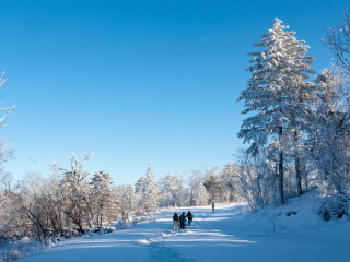 去亞布力雪鄉(xiāng)旅游多少錢_亞布力雪鄉(xiāng)半自助游_亞布力雪鄉(xiāng)旅游費用多少
