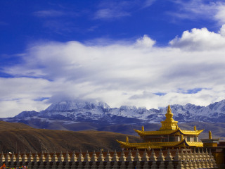 云南香格里拉組團旅游_報團去云南香格里拉多少錢_云南香格里拉旅游多少錢