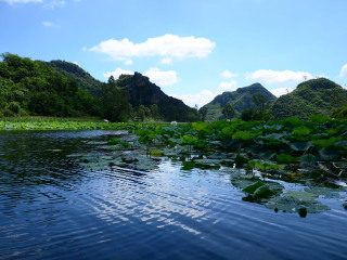 旅游团云南游_云南旅游组团旅游_深圳到云南旅游团报价