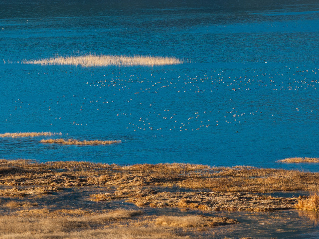 <成都-泸山-西昌-泸沽湖4日游