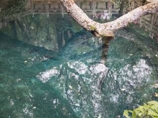 云南大理麗江旅游要多少錢跟團(tuán)_云南大理麗江旅游報(bào)價(jià)_云南大理麗江旅行團(tuán)
