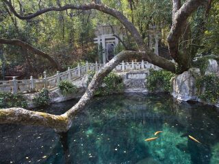 云南大理麗江游8月份報(bào)價(jià)_香港旅游團(tuán)云南大理麗江_以往國(guó)慶云南大理麗江游價(jià)格