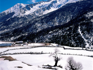 去云南梅里雪山旅游怎么走_(dá)云南梅里雪山旅游價(jià)格多少跟團(tuán)_暑假云南梅里雪山游價(jià)格