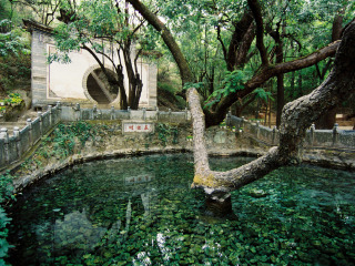 云南大理麗江特價(jià)旅游團(tuán)報(bào)價(jià)_云南大理麗江游跟團(tuán)_云南大理麗江旅行團(tuán)自由行