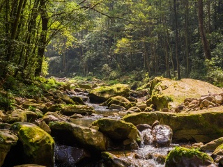 深圳出发去张家界旅游价格_8月到张家界旅游_张家界7天旅游