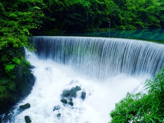 報團(tuán)去貴州黃果樹瀑布多少錢_貴州黃果樹瀑布跟團(tuán)還是自由行_貴州黃果樹瀑布游 旅行團(tuán)