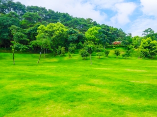 報(bào)團(tuán)去廣西南寧德天大瀑布多少錢_廣西南寧德天大瀑布旅游路線_廣西南寧德天大瀑布旅游跟團(tuán)多少錢