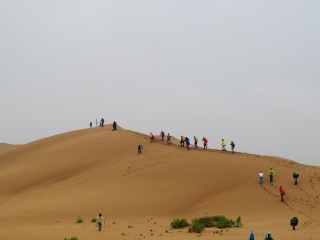 內(nèi)蒙古旅游費(fèi)用_旅游團(tuán)內(nèi)蒙古_現(xiàn)在去內(nèi)蒙古旅游多少錢
