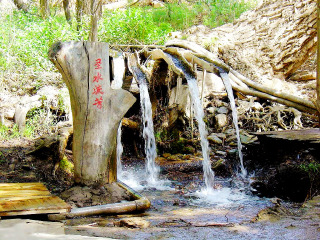 新疆11日游价格_去新疆旅游怎么走_深圳新疆旅游5天