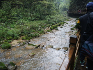 张家界5日旅游报价_深圳张家界旅游包团_去张家界旅游价格