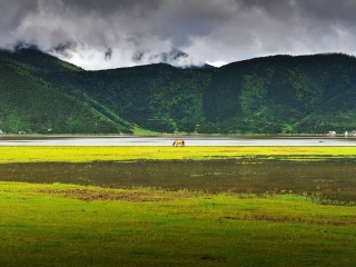 云南香格里拉旅游需要多少錢_云南香格里拉九月旅游_云南香格里拉八月份旅游