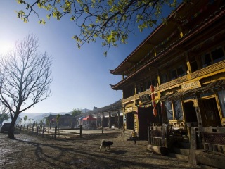 云南昆明自由行還是跟團(tuán)好_2021去云南昆明跟團(tuán)多少錢_旅行團(tuán)云南昆明游
