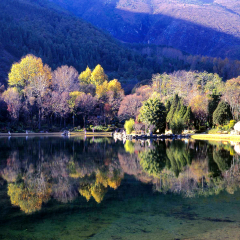 景点模块 