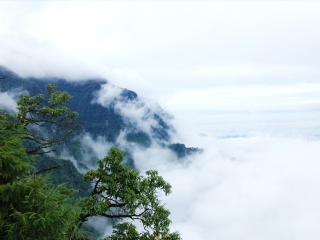 四川峨眉山報團(tuán)多少錢_四川峨眉山自由行費(fèi)用_去四川峨眉山旅游