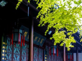 華東自由行旅游團(tuán)_華東旅游最佳路線_華東旅游團(tuán)