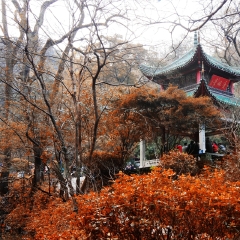 活动模块 
