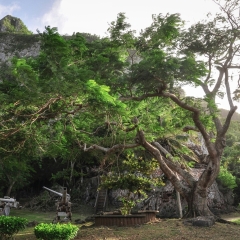 景点模块 
