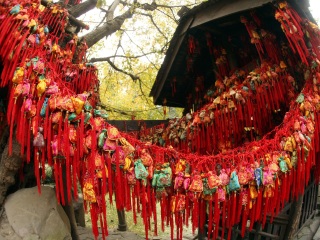 重慶報團旅游多少錢_廣州重慶旅游團_到重慶旅游報團價格