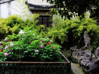華東私人定制旅游_華東旅游大概多少錢_8月華東旅游