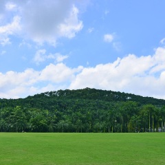 活动模块 