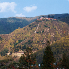 景点模块 