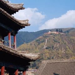 景点模块 
