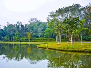 海南三亞游特價(jià)團(tuán)_海南三亞自由行還是跟團(tuán)好_怎么去海南三亞旅游