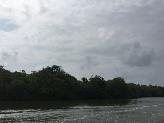 去斯里蘭卡旅游7天要多少錢_斯里蘭卡八月份旅游_斯里蘭卡旅游幾月份最好