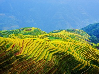 桂林旅行跟團_去桂林報團多少錢_桂林旅游大約多少錢