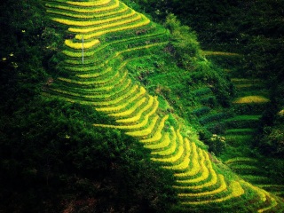桂林旅游大概多少钱_普吉岛桂林旅游_桂林6日跟团旅游