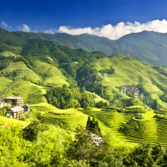 景点模块 
