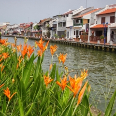 小交通模块 