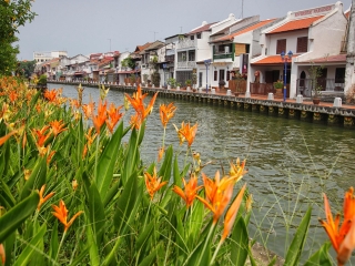 马来西亚跟团游线路_马来西亚九日游多少钱_马来西亚旅游价格