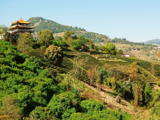 泰國清邁旅游價格多少_2021去泰國清邁跟團(tuán)多少錢_泰國清邁報團(tuán)旅游多少錢