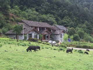 8月云南香格里拉旅游_東莞到云南香格里拉游_云南香格里拉旅游多少錢(qián)一個(gè)人