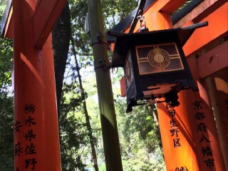 十一日本游_跟團(tuán)日本旅游價(jià)格表_去日本旅游多少錢