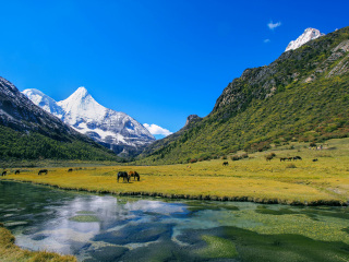 云南香格里拉組團旅游_報團去云南香格里拉多少錢_云南香格里拉旅游多少錢