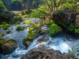 去貴州黃果樹旅游多少錢_深圳到貴州黃果樹旅游報價_貴州黃果樹自由行費用