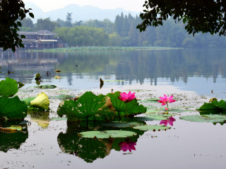 暑假華東游價格_華東自由游價格多少