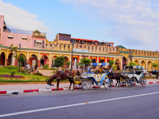 跟团旅游到成都_参加成都旅游团_成都跟团旅游观光