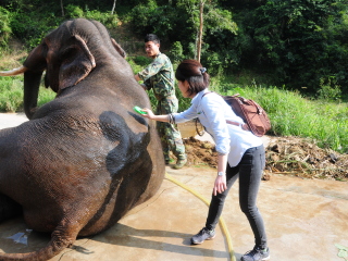 出发到西双版纳旅游_西双版纳11日游跟团多少钱_西双版纳旅游十日游多少钱