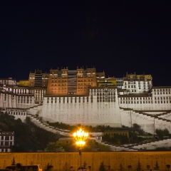活动模块 
