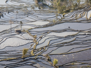 云南元陽梯田旅游組團(tuán)_云南元陽梯田自由行組團(tuán)_云南元陽梯田跟團(tuán)游與自由行